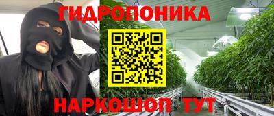 mdpv Славгород
