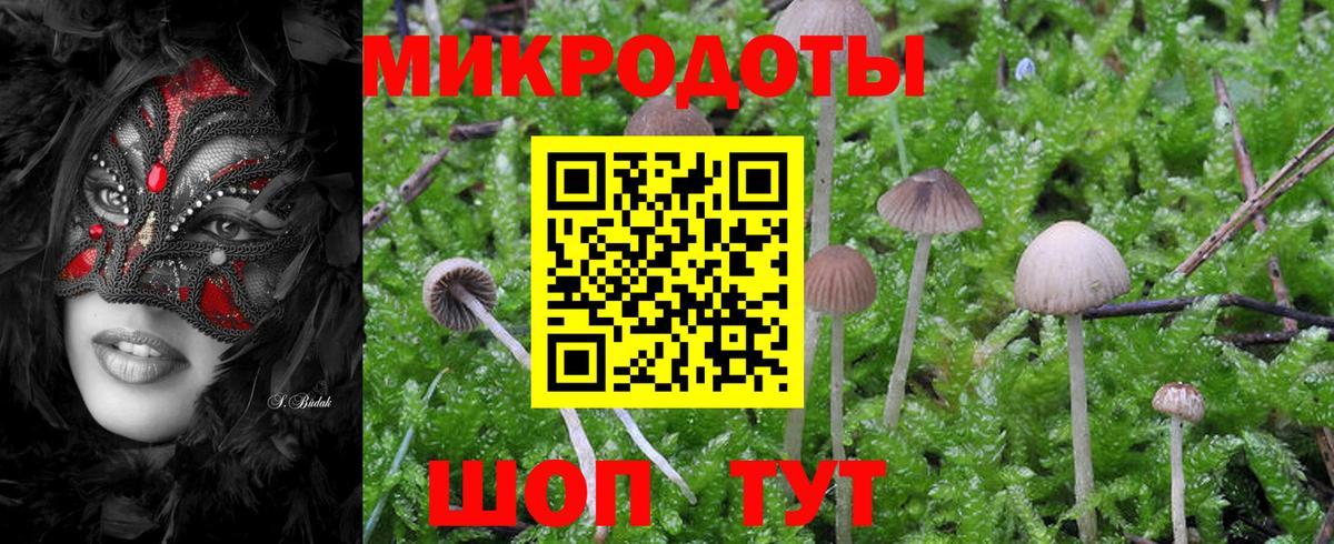как найти   Галлюциногенные грибы Magic Shrooms  Нягань  Вход с VPN  Псилоцибиновые грибы GOLDEN TEACHER 