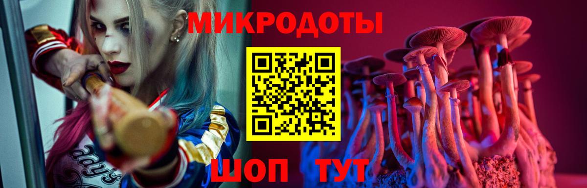 Псилоцибиновые грибы мицелий Нягань